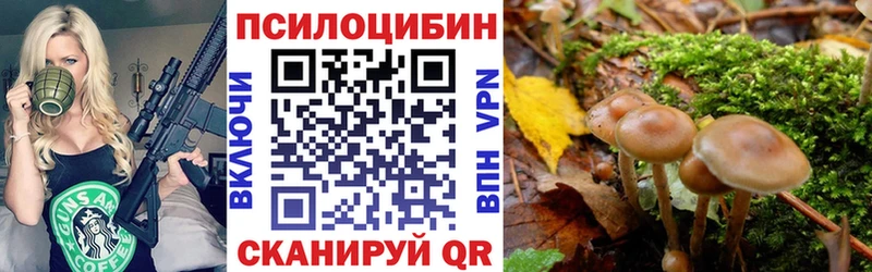 Галлюциногенные грибы Psilocybine cubensis Елизаветинская