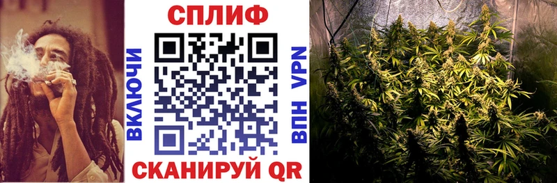 как найти закладки  Елизаветинская  Канабис тримм 